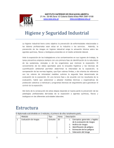 Higiene y Seguridad Industrial Estructura