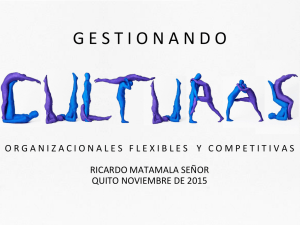 estrategia_cultura_y_competitividad_2015