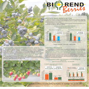 Biorend Berries