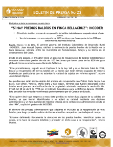 Boletín Baldíos Bellacruz 140212