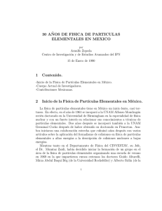 La Fisica de Particulas Elementales en Mexico en 1990