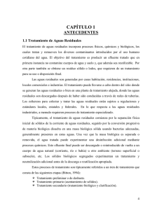 Antecedentes - tesis.uson.mx