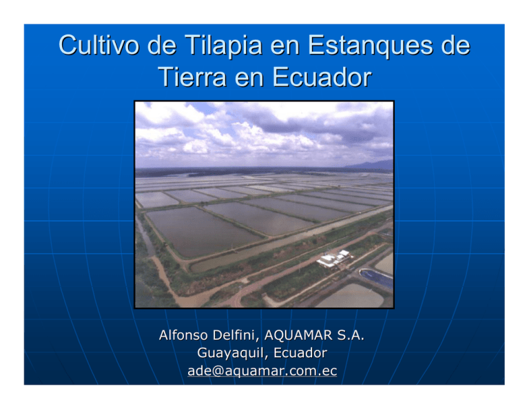 ISTA 7 Cultivo de Tilapia en Ecuador