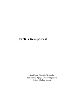 PCR a tiempo real - Biología Molecular