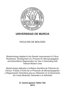 universidad de murcia facultad de biología