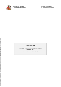 Informe Auditoría y Cuentas 2013