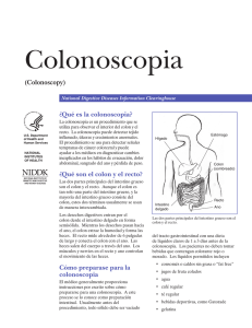 Colonoscopia (Colonoscopy)