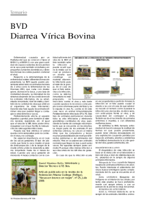 BVD Diarrea Vírica Bovina - Revista Frisona Española