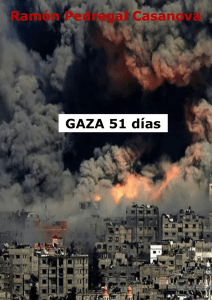 Gaza 51 días