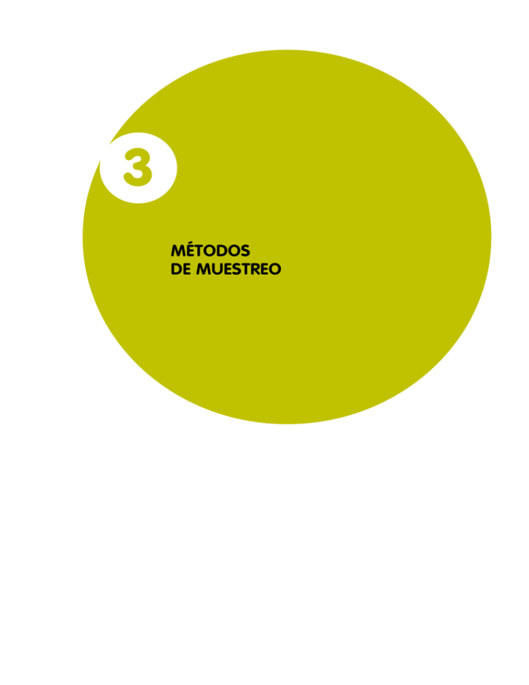 3 Métodos De Muestreo 4761