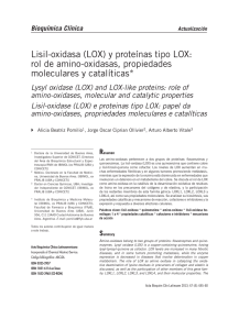 Lisil-oxidasa (LOX) y proteínas tipo LOX: rol de amino