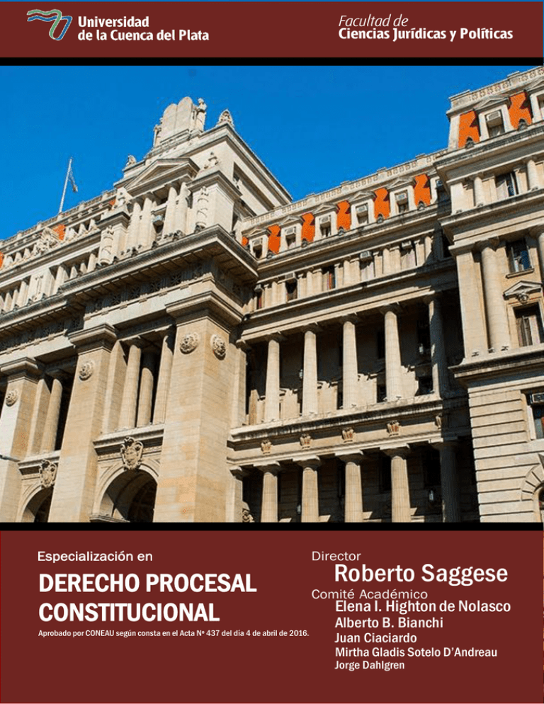 Dossier - Esp. Derecho Procesal Constitucional