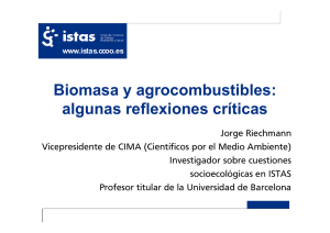 Biomasa y agrocombustibles: algunas reflexiones - Istas