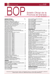 Descargar PDF - Diputación de Granada