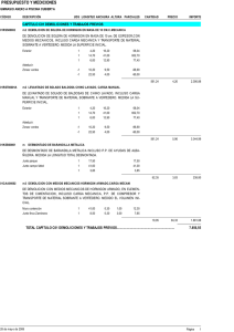 Presupuesto y mediciones - Ayuntamiento de Mairena del Alcor
