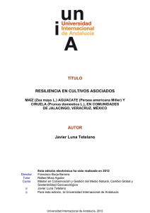 Ver/Abrir