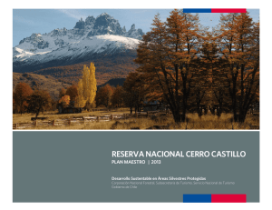 reserva nacional cerro castillo