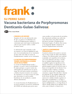 Vacuna bacteriana de Porphyromonas Denticanis-Gulae