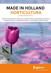 made in holland hoRTiCUlTURa
