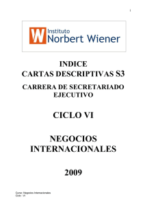 CICLO VI NEGOCIOS INTERNACIONALES 2009