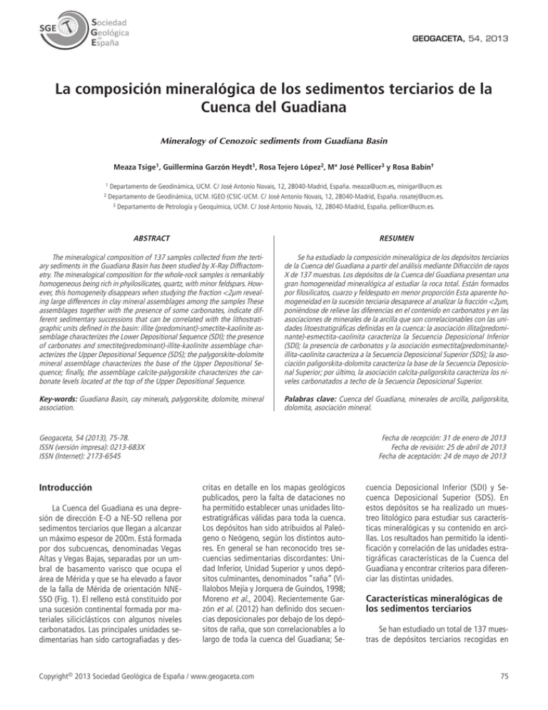 La Composici n Mineral gica De Los Sedimentos Terciarios De La