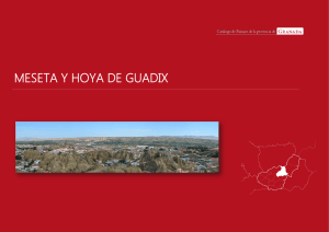 meseta y hoya de guadix - Centro de Estudios Paisaje y Territorio