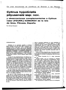 Cyfinus hypòfcistis sspp nov.