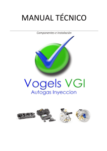 Manual técnico de instalación VGI