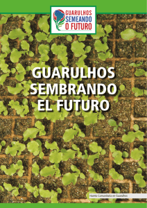 9. Proyectos relacionados con “Guarulhos Sembrando el Futuro”