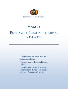 PLAN ESTRATÉGICO INSTITUCIONAL DEL MMAYA (propuesta)