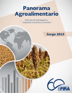 Panorama Agroalimentario | Sorgo 2015 Portada