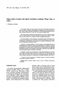 Notas sobre el cáncer del ciprés (Seiridium cardinale (Wag.) Sutt. et