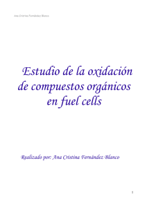 Estudio de la oxidación de compuestos orgánicos en fuel cells