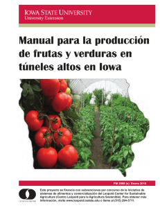 Manual para la produccion de frutas y verduras en