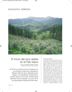 El futuro del pino radiata en el País Vasco