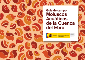 Guía de campo moluscos acuáticos de la cuenca del Ebro