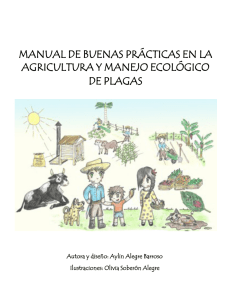 manual de buenas prácticas en la agricultura y manejo ecológico de