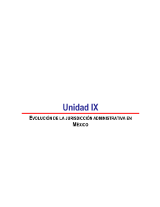 Unidad IX