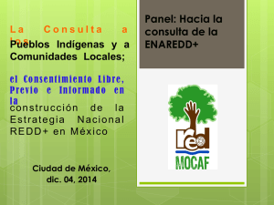 La consulta Pueblos Indígenas y Comunidades Locales