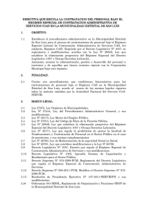Directiva - Municipalidad Distrital de San Luis