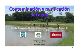 Contaminación y purificación del agua