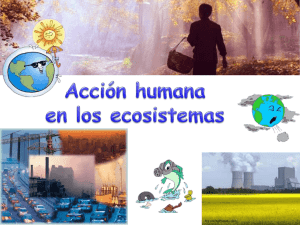 Acción humana en los ecosistemas