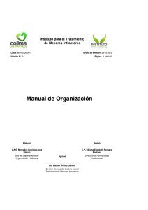 Manual de Organización (Instituto de menores Infractores)