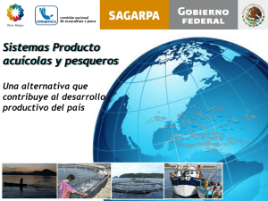 Juan Antonio Pérez - Sistemas Producto acuícolas y pesqueros