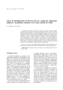Clave de identificaci&oacute;n de huevos, larvas y pupas de Allograpta