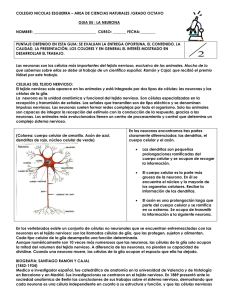 05 La Neurona. - Colegio Nacional Nicolas Esguerra