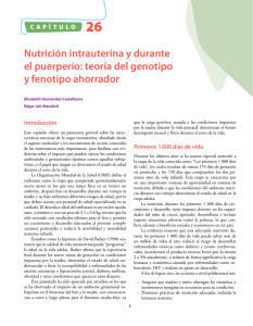 Nutrición intrauterina y durante el puerperio: teoría del genotipo y