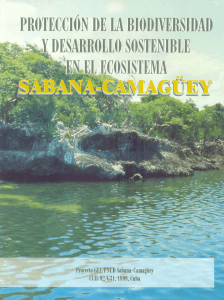 Libro I Etapa del Proyecto - Sabana