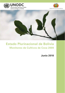 Estado Plurinacional de Bolivia – Monitoreo de Cultivos de Coca 2009