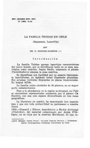 LA FAMILIA TEIIDAE EN CHILE (Squamata, Lacertilia) por Intr o